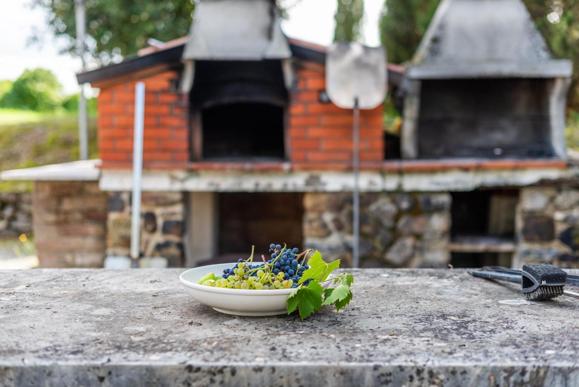 Agriturismo Il Chiassale Rapolano Terme Exteriör bild